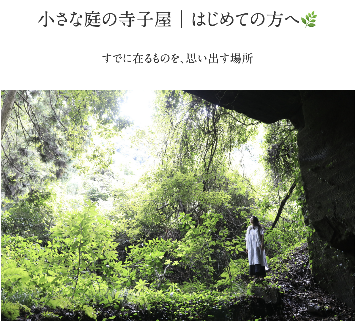 その不調、実は正解です｜宇宙元旦・春分のご案内🌿